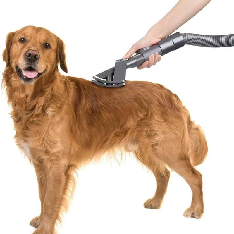 Brush Grooming Vacuum Attachment
