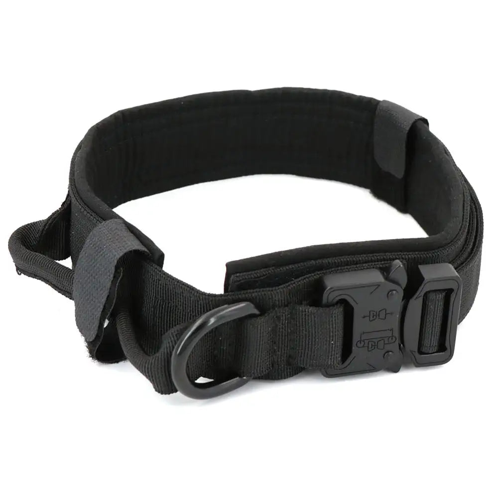 Padded Lined Durable Collar