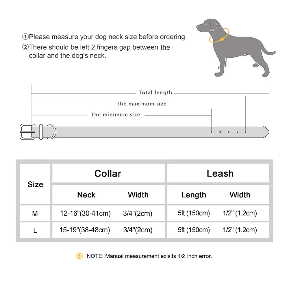 Dog Collar And Leash Set