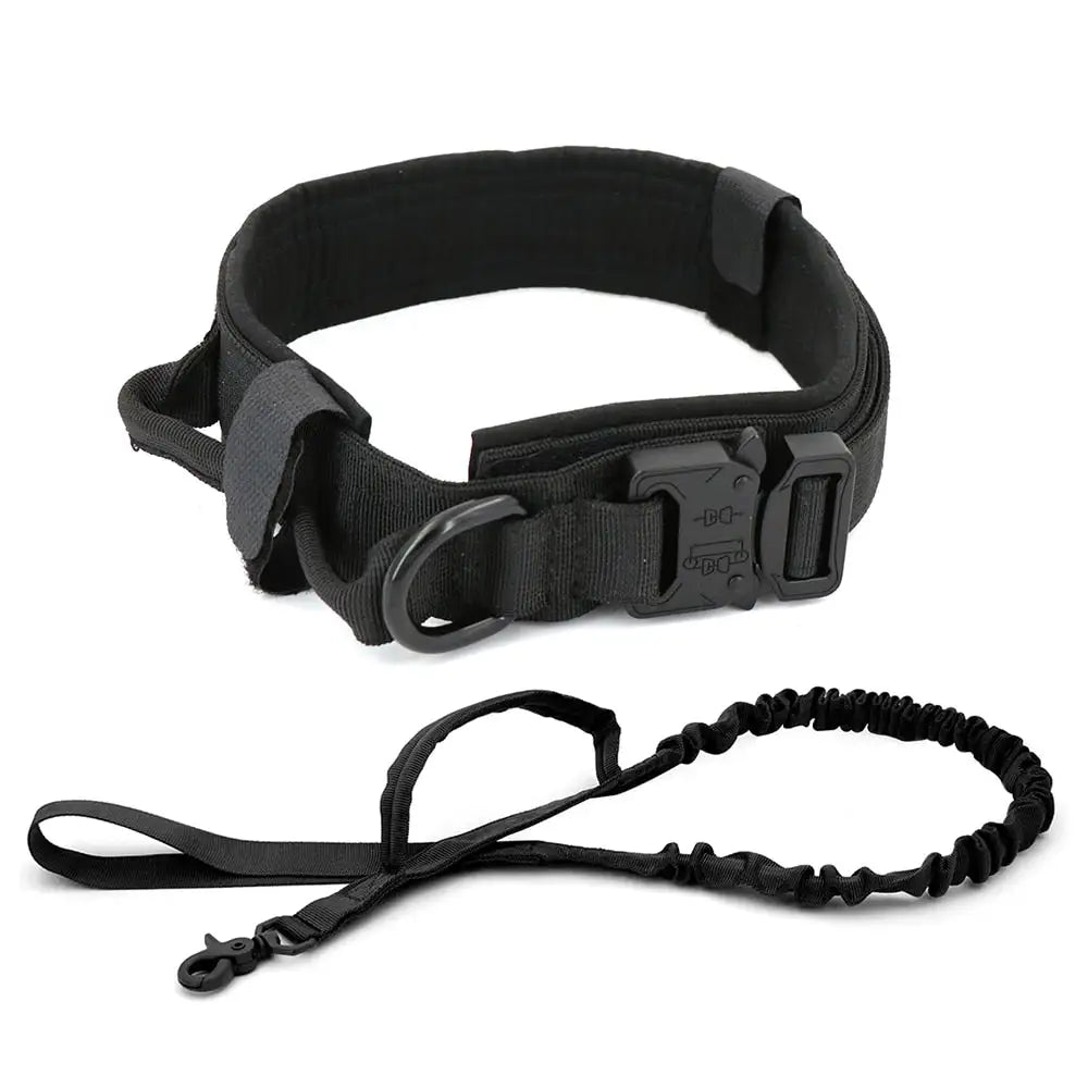 Padded Lined Durable Collar