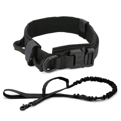 Padded Lined Durable Collar