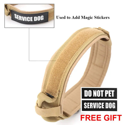 Padded Lined Durable Collar