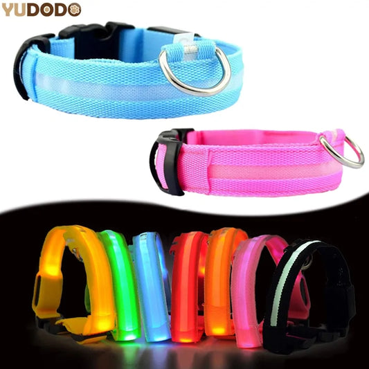 LED Pet Dog Collar for Night Safety