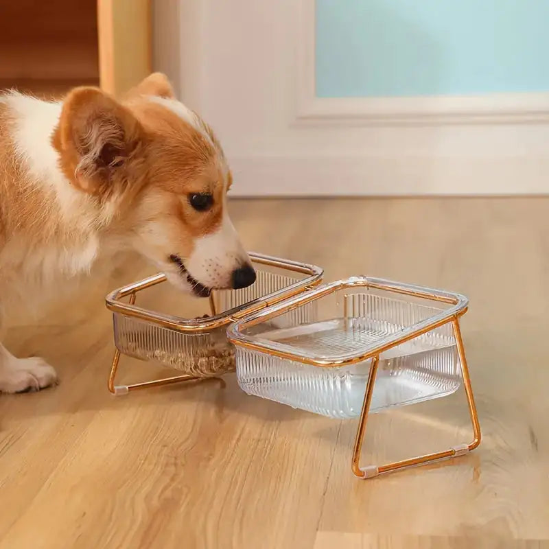 Pampered Paws Elevated Bowl Set