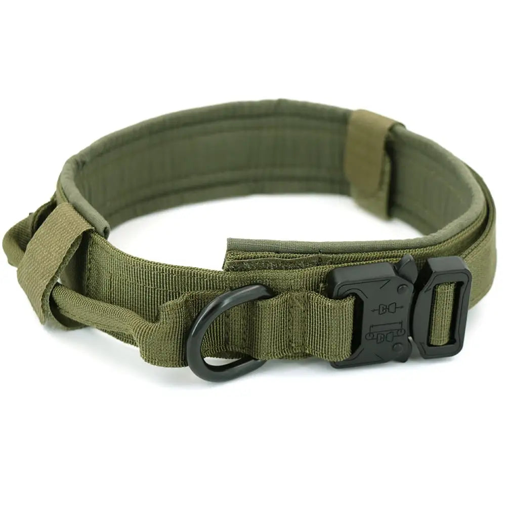 Padded Lined Durable Collar