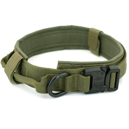 Padded Lined Durable Collar