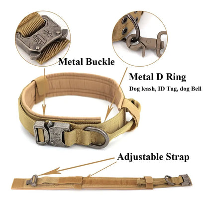 Padded Lined Durable Collar
