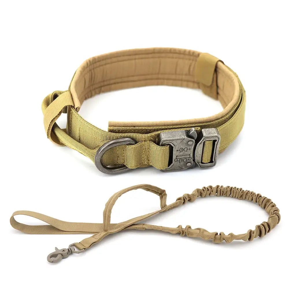 Padded Lined Durable Collar