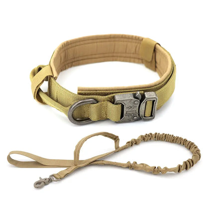 Padded Lined Durable Collar