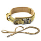 Padded Lined Durable Collar