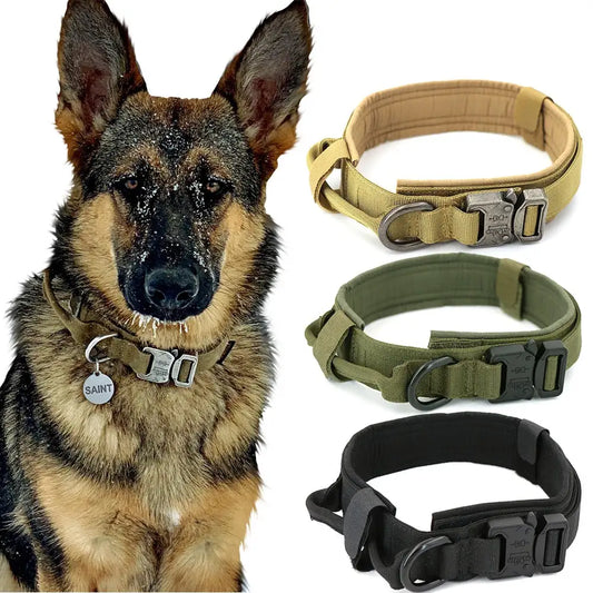 Padded Lined Durable Collar