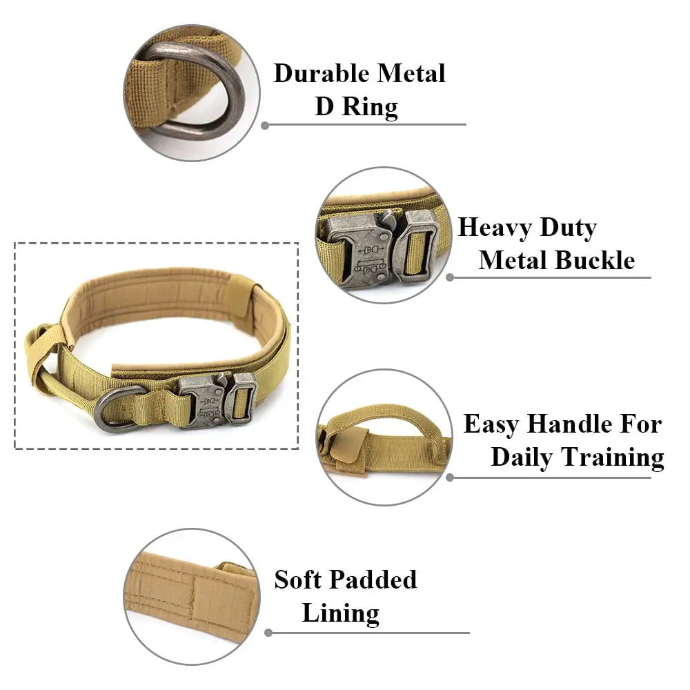 Padded Lined Durable Collar