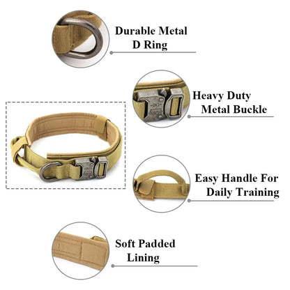 Padded Lined Durable Collar