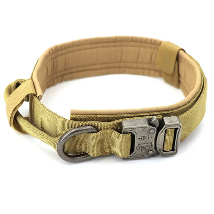 Padded Lined Durable Collar