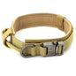 Padded Lined Durable Collar