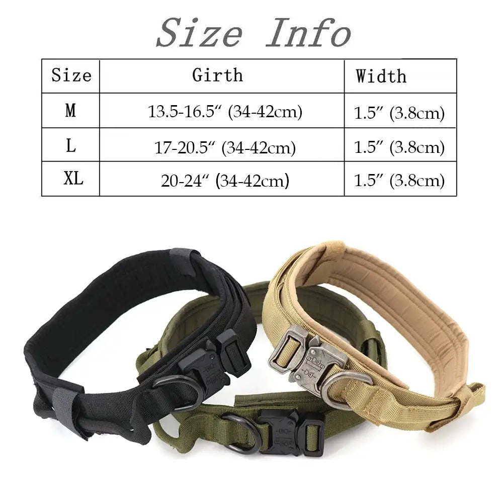 Padded Lined Durable Collar
