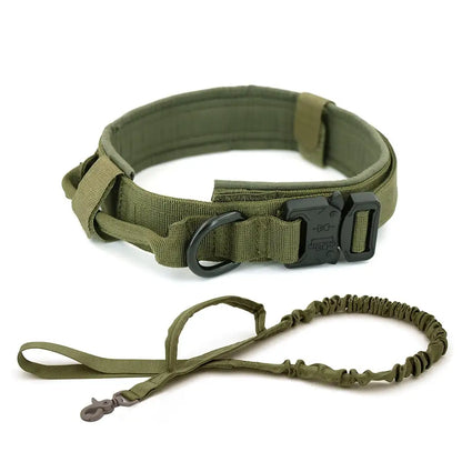 Padded Lined Durable Collar