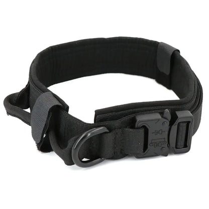 Padded Lined Durable Collar